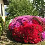 Дом отдыха Le Betulle