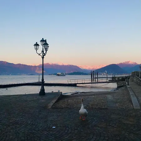 Le Betulle אוג'ביו