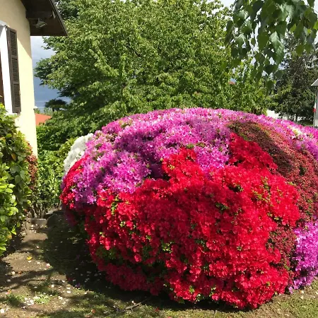Holiday home Le Betulle
