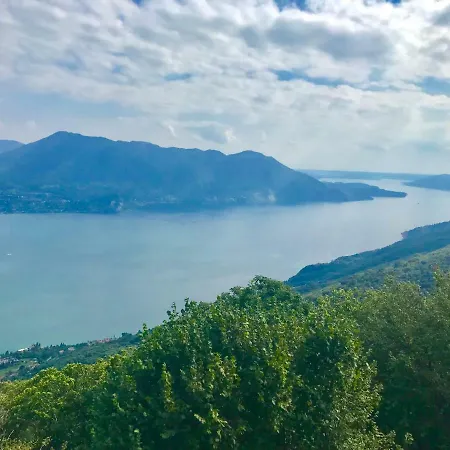 Le Betulle * אוג'ביו