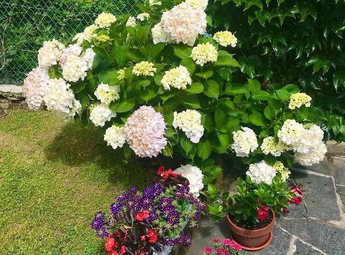 Le Betulle * 오게비오