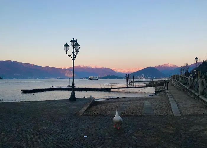 Le Betulle 오게비오