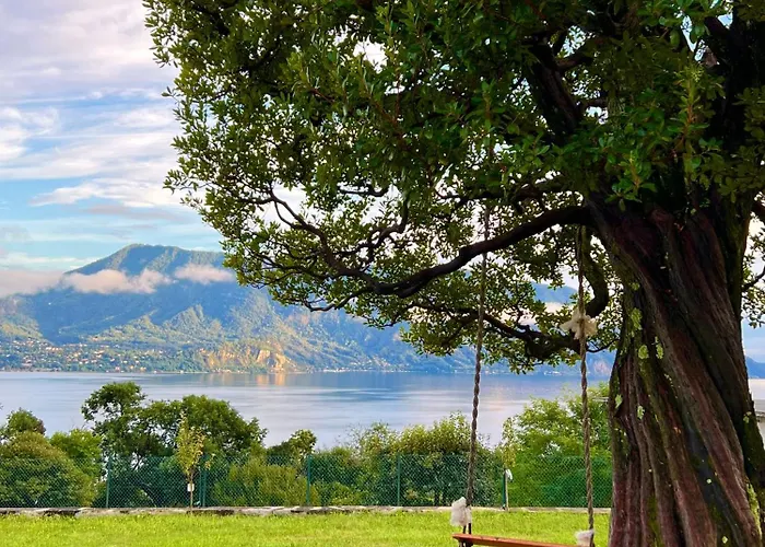 Le Betulle 오게비오