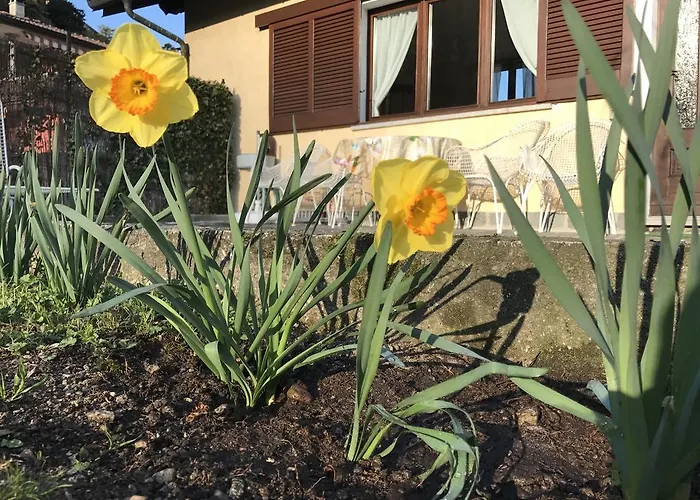 Le Betulle 오게비오