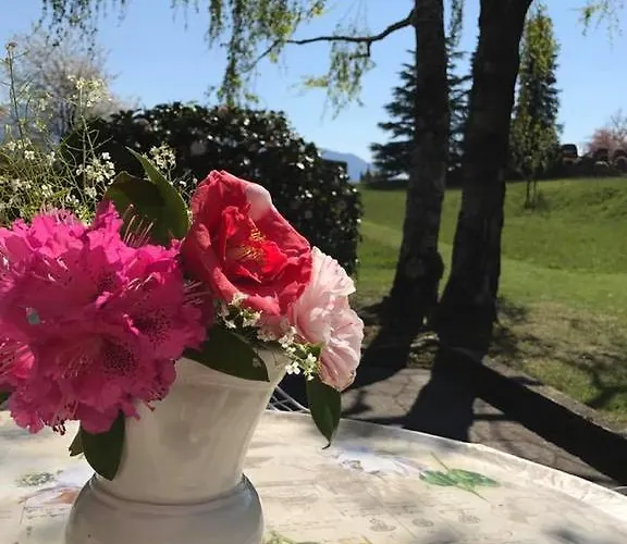 Le Betulle 오게비오