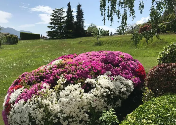 Le Betulle * 오게비오