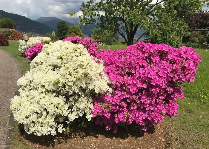 펜션 Le Betulle 오게비오