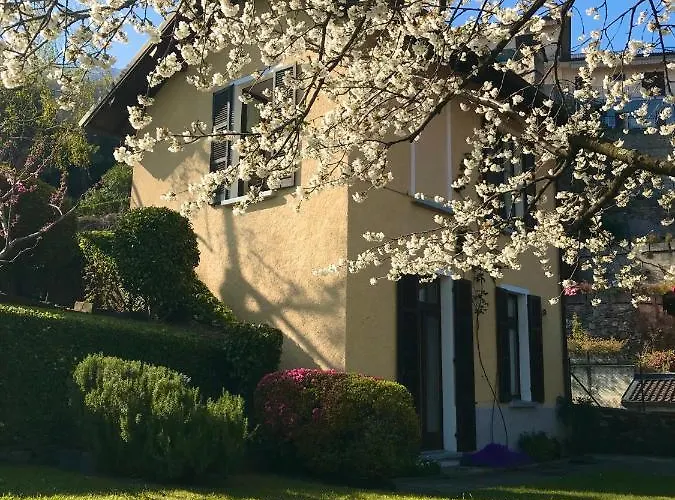 Le Betulle 펜션 오게비오